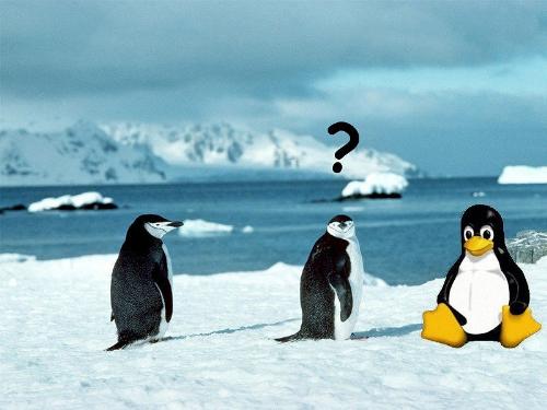 cool - really cool living things there