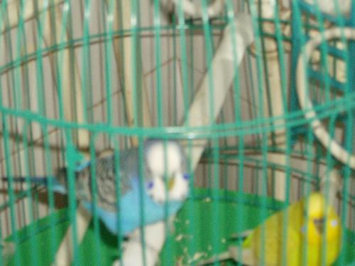 Paco and Pretty! - ......................