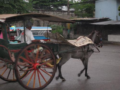 Horse-driven calesa - The calesa is a horse driven public transport only found in the urban streets of Chinatown in Manila and Vigan in Ilocos, Philippines.