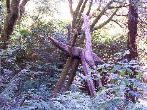 Mosquito - This is a wood carving that was done only with a chain saw. It is located in Northern California in the Trees of Mystery. This was an old lumbering location and now is a hot tourist attraction. There is a path that follows the story of Paul Bunyon and it takes you through a beautiful redwood forest.