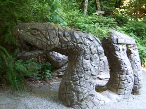 Snake - This is a wood carving that was done only with a chain saw. It is located in Northern California in the Trees of Mystery. This was an old lumbering location and now is a hot tourist attraction. There is a path that follows the story of Paul Bunyon and it takes you through a beautiful redwood forest.