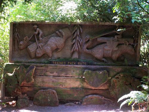 Wooden Mural - This is a wood carving that was done only with a chain saw. It is located in Northern California in the Trees of Mystery. This was an old lumbering location and now is a hot tourist attraction. There is a path that follows the story of Paul Bunyon and it takes you through a beautiful redwood forest.