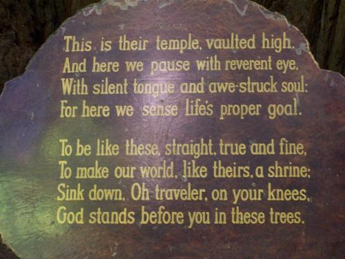 Cathedral of trees - This is an enscription at the Catherdral of Trees at the Trees of Mystery in Northern California.  Outdoor wedding ceremonies can be done here in the beautiful redwood trees.  The trees naturally make a semi circle.