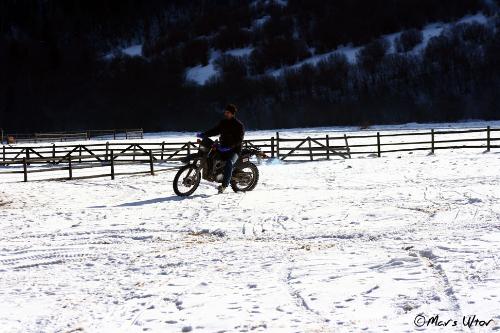 bikes - bikes on snow