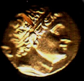 Indo greek coin - Indo greek coin
