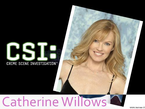 csi_catherine_willows - csi_catherine_willows