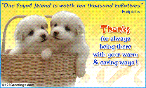 friends - nice two pets photo who r friends