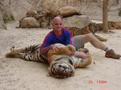 Me and Attitude, who is needing some lovin! - I am part of a project that supports Orphaned Burmese Tigers in Southern Thailand. I plan on adding more details about this project so check my profile often!
