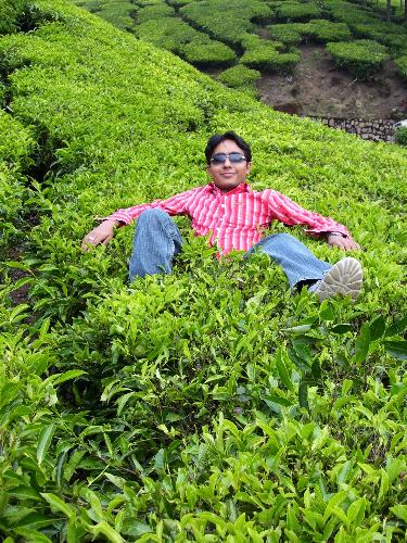 myself relaxing in tea gardens of munnar, kerala - This is one of the collection of photos that we took on our trip to Munnar, Kerala. The trip started on 22nd December, 2006 and extended till Chrismas eve i.e. 25th December, 2006.