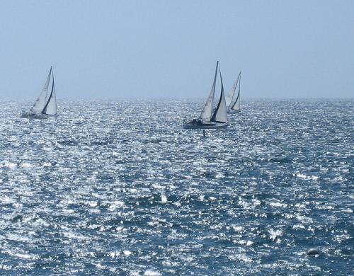 Three Sails - Three ships sailing in Santa Monica Bay.   This is a copyrighted photo (yes I have the right to display it) Please do not copy or distribute.  It is just for you to enjoy.