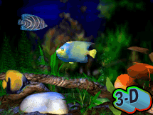 3D Bungalow Aquarium - 3D Bungalow Aquarium