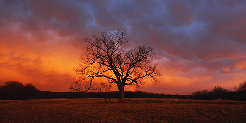 Nature - The Sunset scene. I love the nature.... Although this is not the one I have taken..