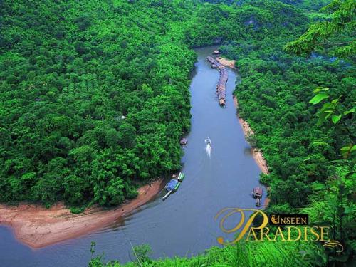 nature  - nice nature picture