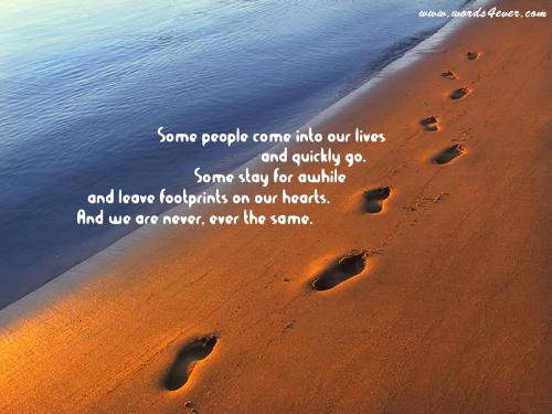 flow the feet marks - not easy make people follow ur way.