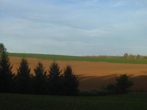 field - field