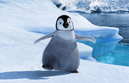haapy feet - the cute lil chubby penguin!!
