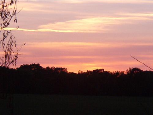 Sky - This is the picture I meant to upload!