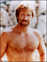 chuck norris - chuck norris