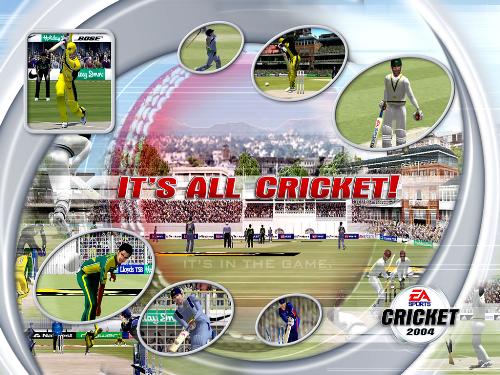 cricket - cricket1