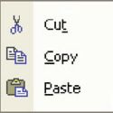 copy paste - copy paste