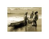 Fishermen  - Fishermen in chennai