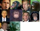 Are they borthers??? - Who can say now that Darwin wasn't wright???