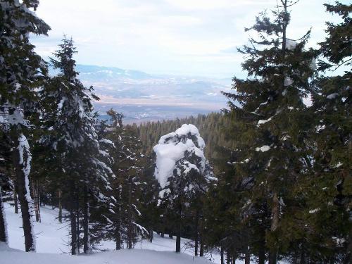 Poiana Brasov - city between the trees