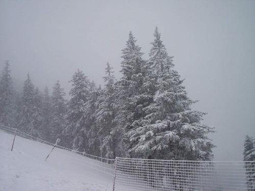 Poiana Brasov - There was snowing