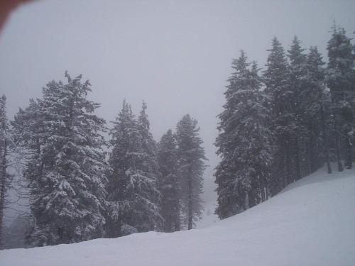 Poiana Brasov - Snowing really bad