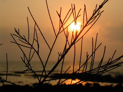 sunset, as i see it.... - ok i know the snap isnt great, but its good right?....i took it woth an antique nikon digicam, 2megapixel model,..but the quality is good...