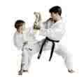 martial arts - something I would wish for my kids and they shall at some point get aquainted with the arts for their own edification and protection in the future