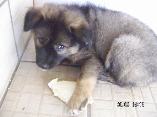 cute isn't it? - another one of his pics