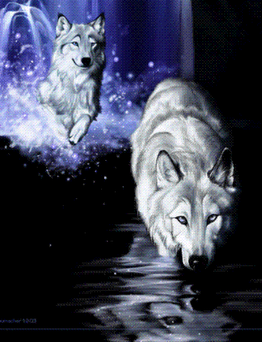 Wolves - Just a picture of 2 wolves in the moonlight. I've always had an affinity for wolves, considering the loyalty of the animal in regards to their pack mentality.