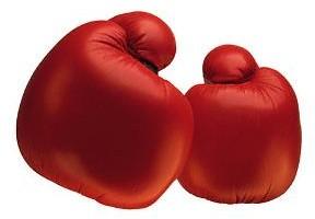 Boxing Gloves - Boxing Gloves
