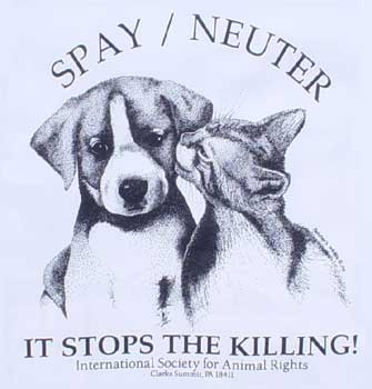 Spay or Neuter - Spay/Neuter...and stop the killing!!!  :)