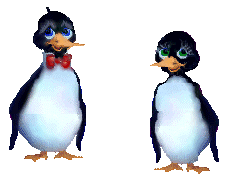 kissing penguins - black and while cute kissing penguins