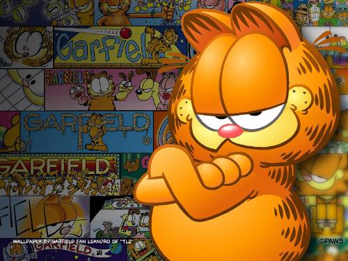 garfield - i always smile where there is a problem that i my face