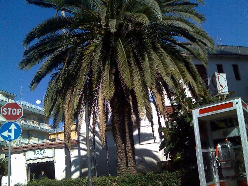 Italy - Gaeta - Here are some pictures I made when I've visited Italy. They are made in Gaeta Golf. I really like that place and I think I will go again there because is a beautiful place. I love Italy! Do you like this?