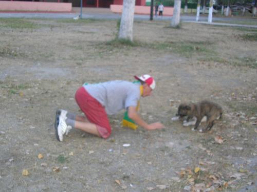 animlas - A friend playing with a dog.