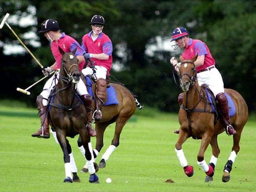 polo - s