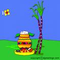 pongal - pongal