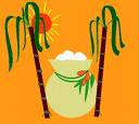 pongal - pongal
