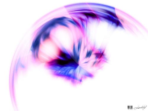 logo MIssMac LifeStylezz Inc - The Energy flows where the focus is..