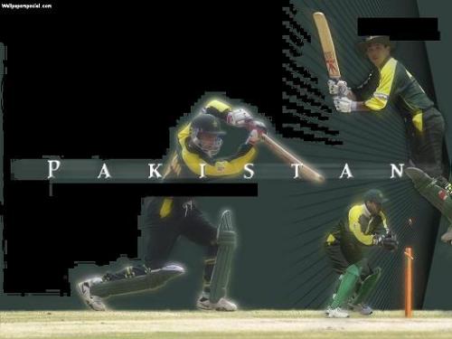 cricket  - cricket pics