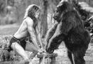 jungle - jungle