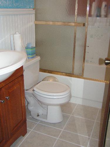 Our bathroom - This is the work we have done on our bathroom.  The shower still needs to be done, but with the worry about mold, that's best left to the professionals.