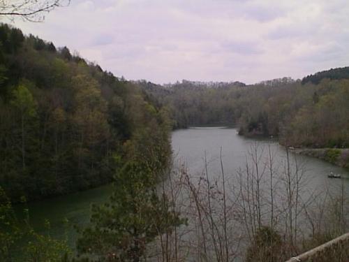 North Carolina Scenery - This is a picture of a a river in North Carolina and the view is just beautiful it is surrounded by trees and bridge and could be used as a brochure photo for North Carolina the skies are wispy with clouds and this photo was taken in the morning.