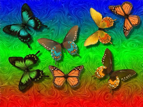 Butterfly 3D - Butterfly created in 3D