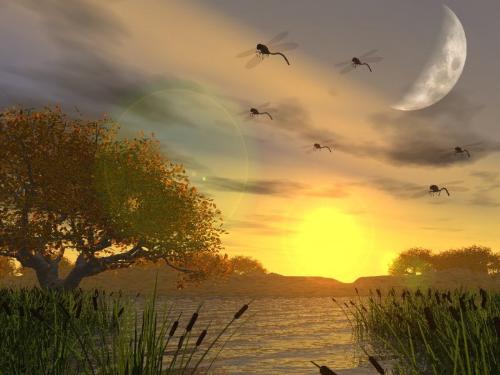 Sun set 3D - Sun set view in 3D Photo