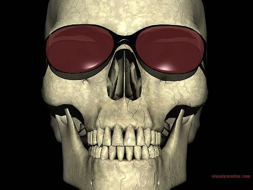 skull - skull